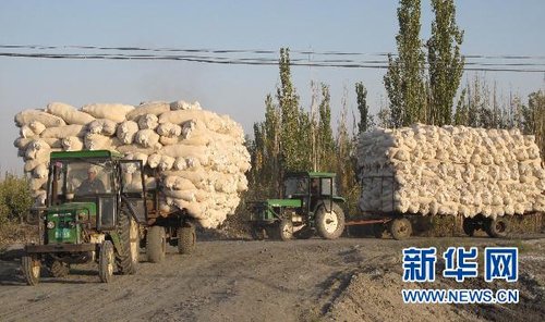 �ރr���ߟ����������b ���M����Α����q�r�_����