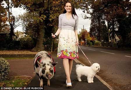 Ӣ��Ů���I���ٌ����i �Bһ���ɴ���i(�D)