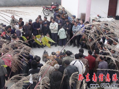 ��������ɽ�����Ļ����_Ļ ��ţ��