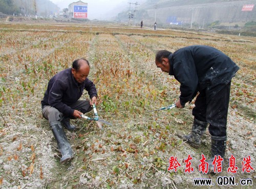 ���ӿh����ٮ��^�����Խ��f����ˎ�Ļ���(�D)