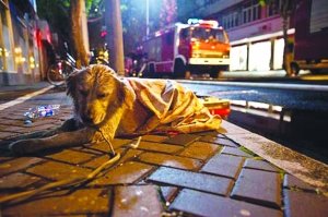 �Ϻ����(z��i)�F(xi��n)��(ch��ng)����С�����Բ��ȵ����˳��F(xi��n)(�D)