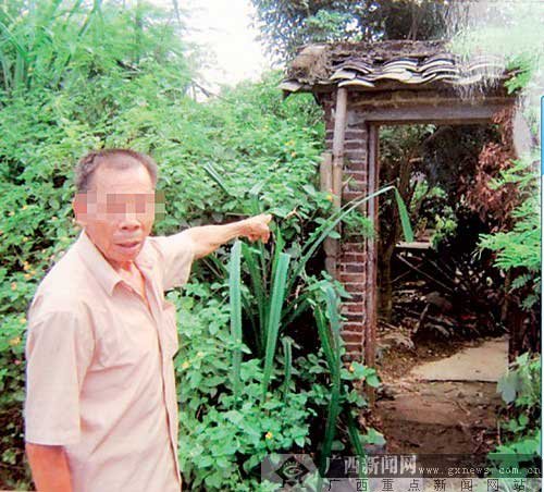 75�q���Sĳ��ָ�J�u���C�c�����̎����ƽ�Йz��Ժ���D