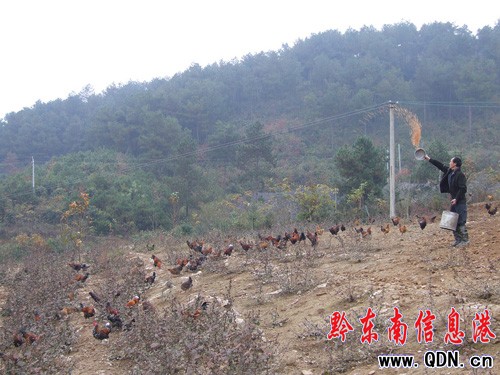 �����hͶ�Y300�fԪ���B(y��ng)�u���I(y��)�����磨�D��