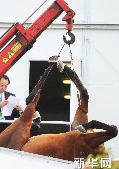 �F����헉��R�x��Ó�xΣ�U ���T��ʩ�԰�����