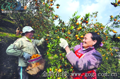 �\����ǧ�����r(n��ng)��DŮ���T��ժ��