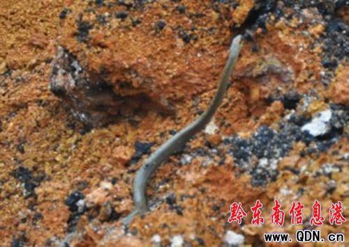 凱里爐山現疑是古墓 噴黑水驚呆工地師傅(圖)