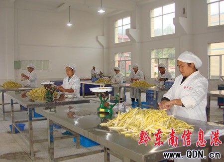 雷山縣山野菜深加工實現銷售收入近3000萬元