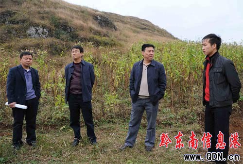 ��կ�h���h�L���P���l�z��һ��һ�h�����Mչ��r