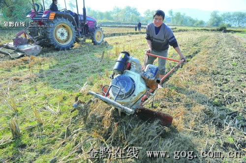 錦屏隆里所村活躍一支農機隊 為農民種植服務