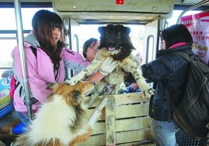 �����ֵ��҂����l�ɡ�