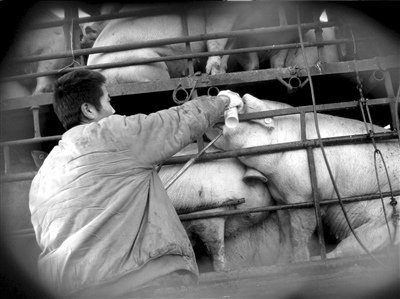 ӛ�߰��L�l(f��)�F(xi��n)עˮ�i�M(j��n)������Ҏ(gu��)��ʳ��˾(�M�D)