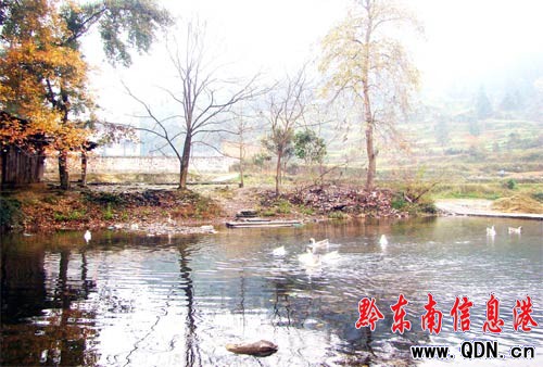 �\���h��`�l ��������������(�M�D)