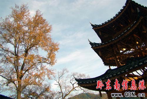 �\���h��`�l ��������������(�M�D)