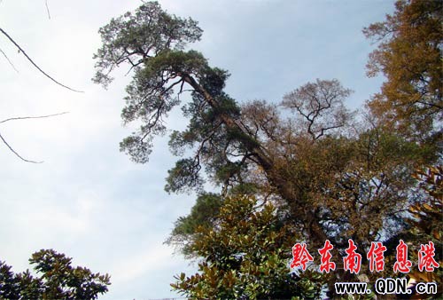 �\���h��`�l ��������������(�M�D)