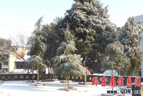 �y�y��կ���������l(xi��ng)���\���hƽ���(zh��n)ѩ��پ�(�D)