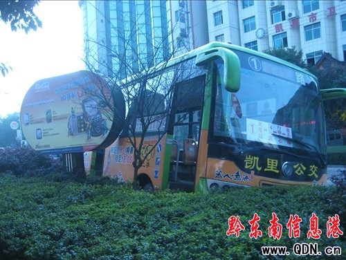 為讓“小家伙” “大個子”上綠化壇(圖)