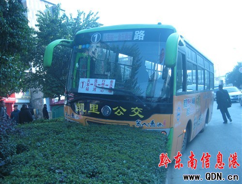 為讓“小家伙” “大個子”上綠化壇(圖)