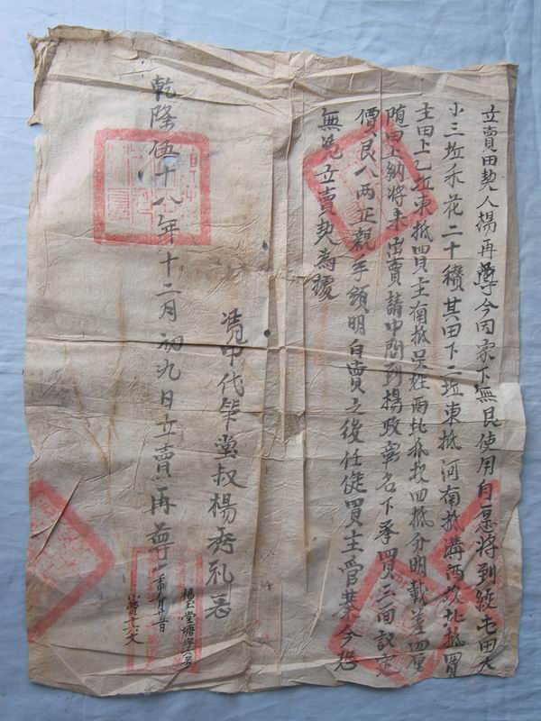 �\���h�^���������\���ĕ���5100�����D��