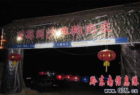 走,吃狗肉補暖去!(圖)