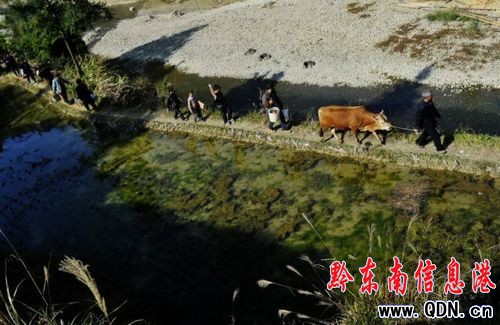 ��կ�������صġ���կ�����D��