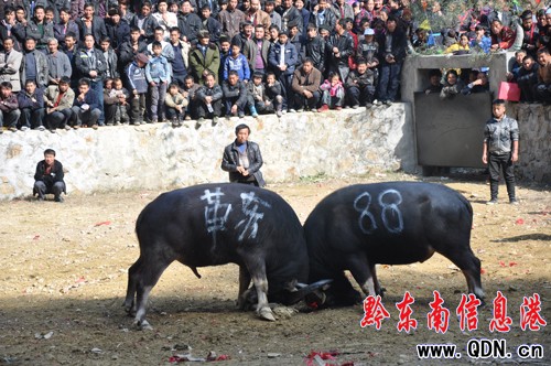 �����ϰ����e�kţ������ِ���M�D��