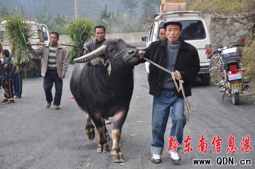 �����ϰ����e�kţ������ِ���M�D��