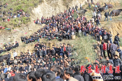 �����ϰ����e�kţ������ِ���M�D��