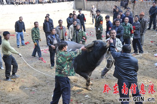 �����ϰ����e�kţ������ِ���M�D��