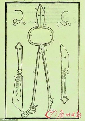 ����������ᘵ����g������