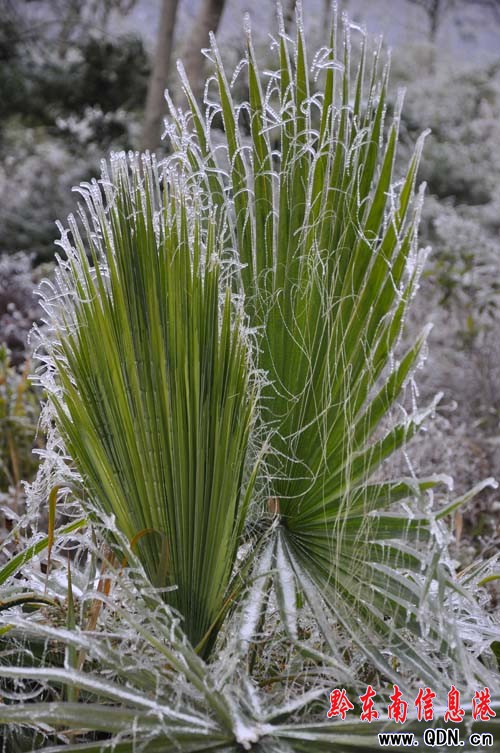 ��ѩ���С��ɽ�ɡ��^���_�� ˽��܇ð�U��ɽ
