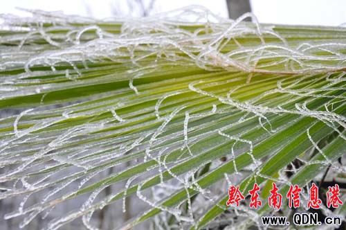 ��ѩ���С��ɽ�ɡ��^���_�� ˽��܇ð�U��ɽ