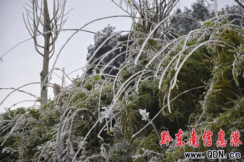 ��ѩ���С��ɽ�ɡ��^���_�� ˽��܇ð�U��ɽ