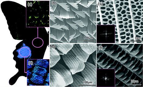 �º������̫���늳ذ�