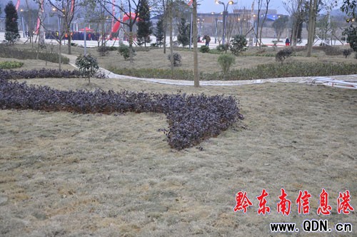 凱里市奮達(dá)廣場今日開園(圖)