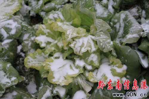 ������� ǭ�|�����r(n��ng)�����ܞ�(z��i)���D��