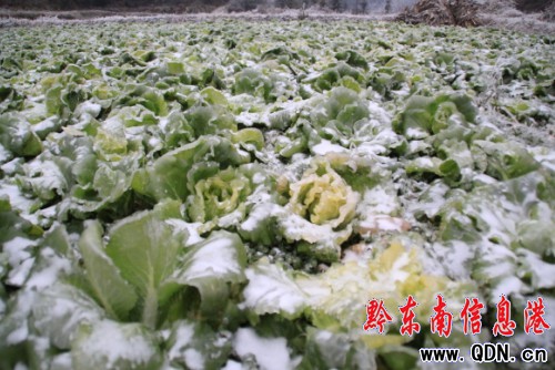 ������� ǭ�|�����r(n��ng)�����ܞ�(z��i)���D��