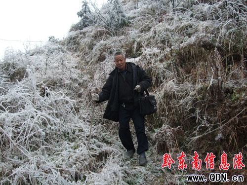 農(nóng)民記者張希才冒著凝凍堅(jiān)持下鄉(xiāng)采訪(圖)