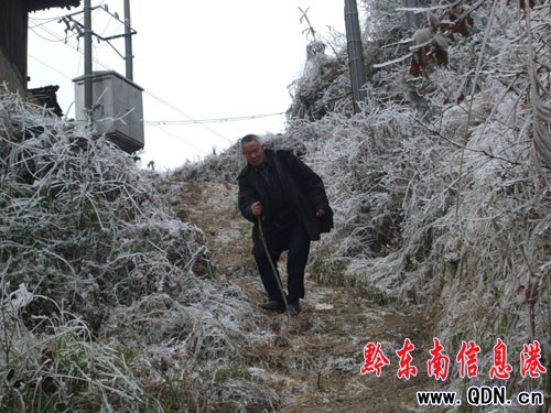 農(nóng)民記者張希才冒著凝凍堅(jiān)持下鄉(xiāng)采訪(圖)