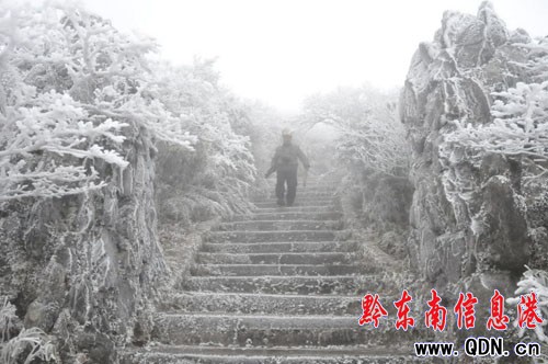 �׹�ɽ����ɭ�ֹ��@���F�Fڡ���^���D��