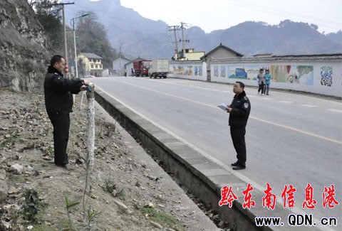 黃平重安:308省道30株行道樹被砍伐(圖)