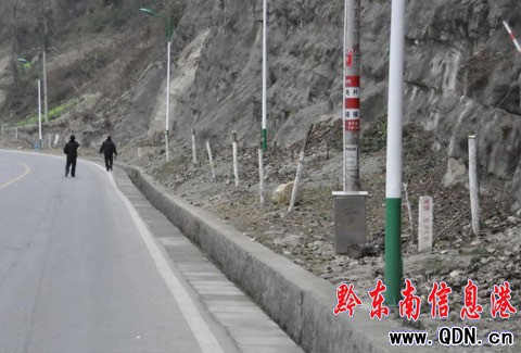 黃平重安:308省道30株行道樹被砍伐(圖)