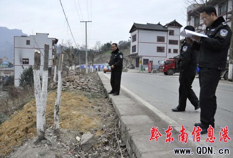 黃平重安:308省道30株行道樹被砍伐(圖)