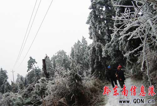 ��ƽ����100�������ɲ����Ѳ���^�����՞���