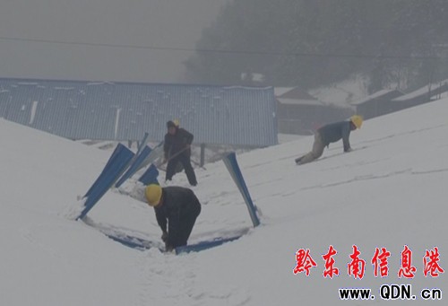 �\�����ι��I�@�^�S�����eѩ���� �pʧ500���f