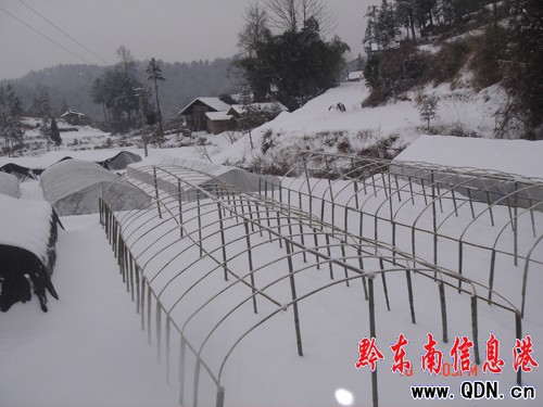 ǭ�|�����������B(t��i)�r(n��ng)�񌣘I(y��)���������ѩ�؄�(chu��ng)