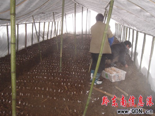 ǭ�|�����������B(t��i)�r(n��ng)�񌣘I(y��)���������ѩ�؄�(chu��ng)