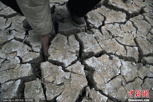 ��ؼZʳ���a�^���ش󺵞� 257�f���ˮ���y