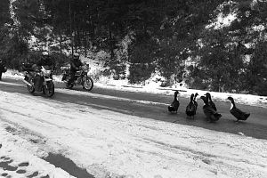 ���U(xi��n)����(y��n)�ؽY(ji��)�� �Ķȷ�܇ �����· �w�����t(�M�D)