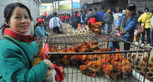 �P�������s�꼯ϲ������ӭ�´��^���꣨�M�F��