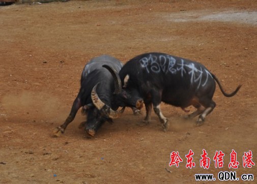 ţ������ِ